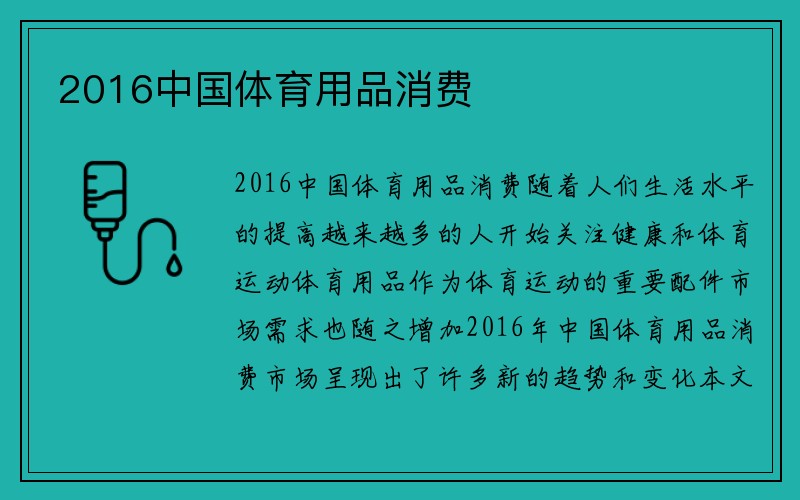 2016中国体育用品消费