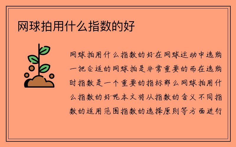 网球拍用什么指数的好