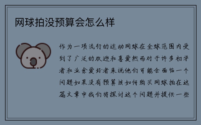 网球拍没预算会怎么样