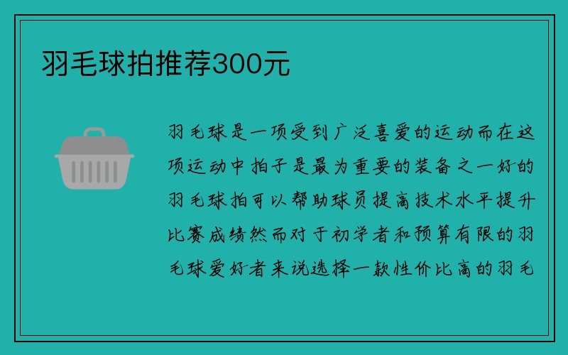 羽毛球拍推荐300元